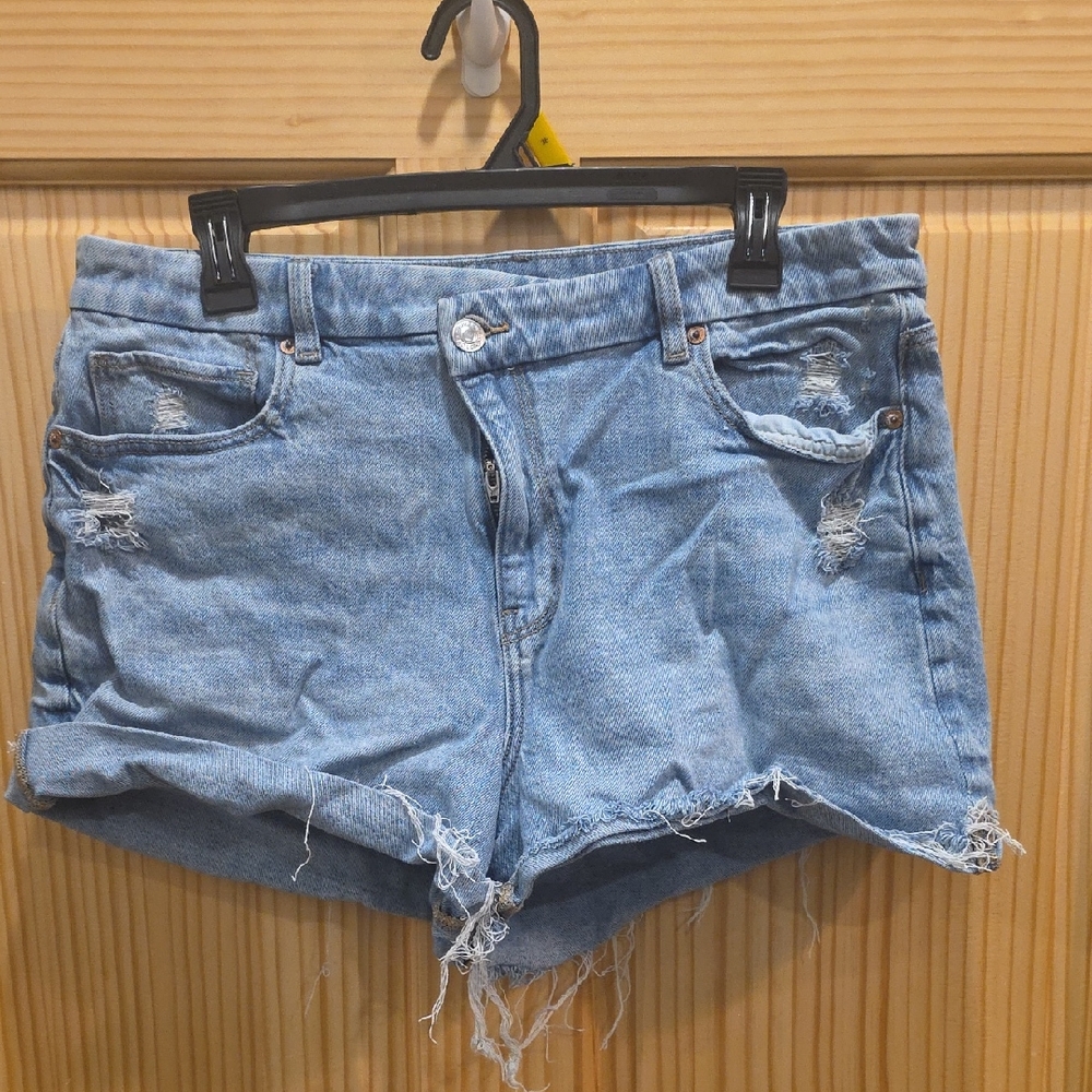 American Eagle Outfitters Light Blue Distressed Jean Shorts